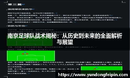 南京足球队战术揭秘：从历史到未来的全面解析与展望