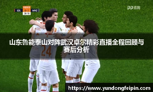 yy体育